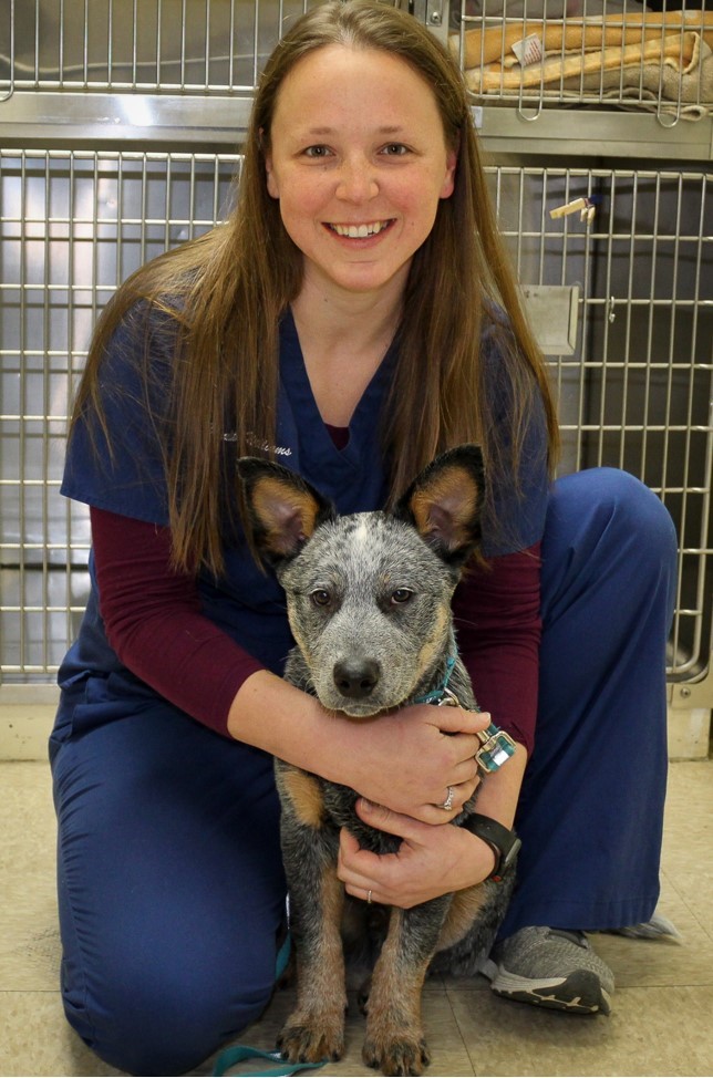 Meredith Williams Veterinary Technician